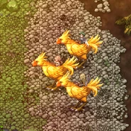 Chocoboritt in Paladia