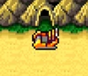 Das Luftkissenboot erlaubt es, an bisher unerreichbare Orte zu gelangen.