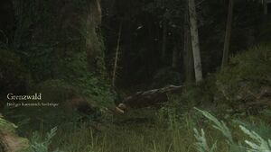 Grenzwald Final Fantasy XVI