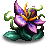 Moranensis