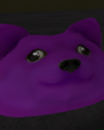 Berry Doge Find The Doges Wiki Fandom - find the doges roblox