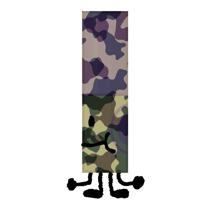 Camo, Roblox Wiki