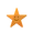 Starfish Noobie