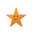 Starfish Noobie
