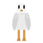 Seagull Noobie