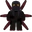 Kraken Noobie