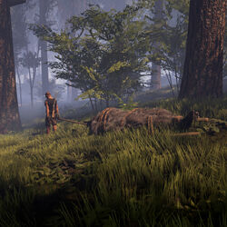 Finding Bigfoot Game Download Finding Bigfoot Game Download