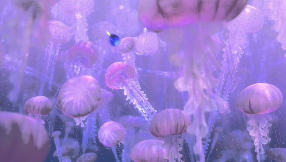 jellyfish finding nemo