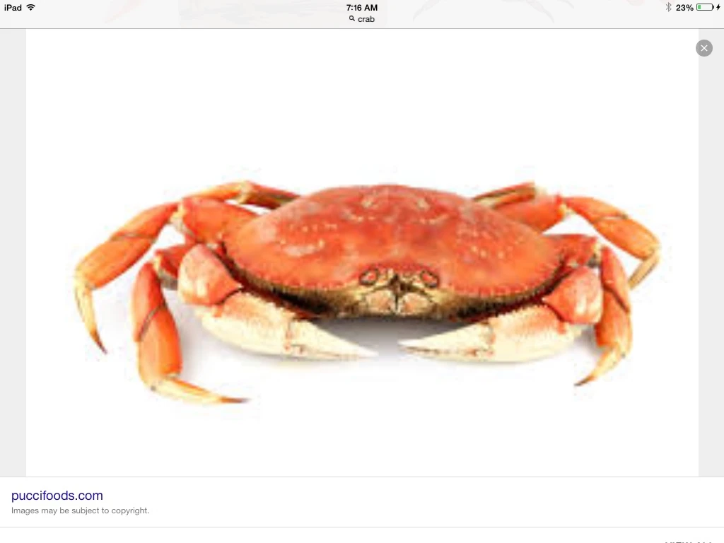 Charlie crab Finding Nemo Fanon Wiki Fandom