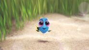 Baby Dory