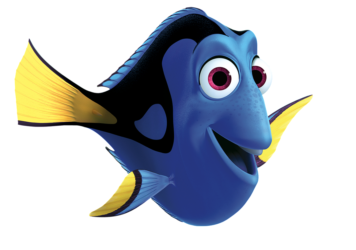 Finding Dory didn't endanger blue tang fish, say researchers studying the ' Nemo effect