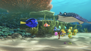 Dory and the Class