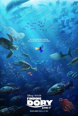 finding nemo squirt quotes
