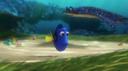 Sad Dory