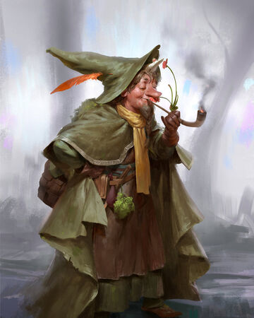 Rock Gnomes Findle Wiki Fandom You have proficiency with artisan's tools (tinker's tools). rock gnomes findle wiki fandom