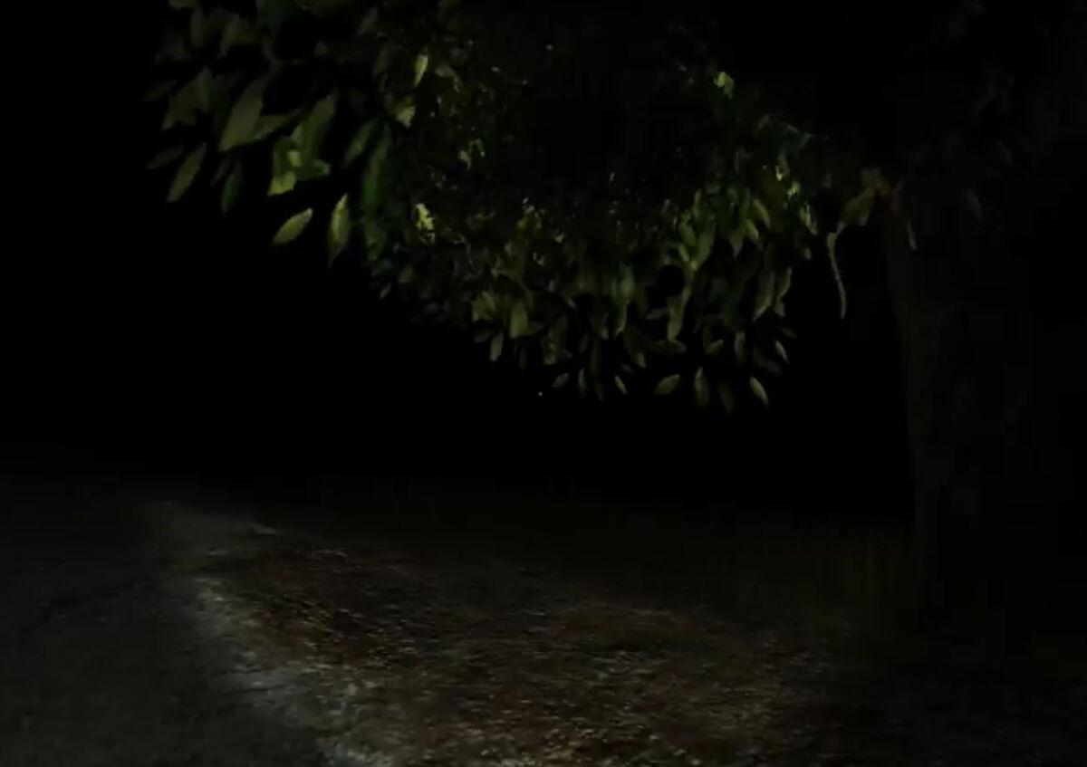 【RARE】ダーク V.A Tales From The Dark Forest 1200?cb=20210201181428