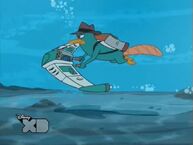 Perry underwater 