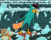 Niebieski środek kapelusza Pepe