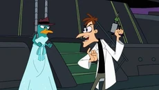 Z8138566X,Fineasz-i-Ferb-mat-prasowe (1)