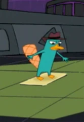 1000px-PerryStuckToFlypaper