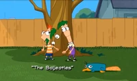 Błąd Ferb