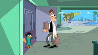 Kostki Dundersztyca wystają przed spodnie.