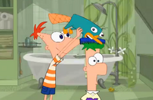 Phinpepferb