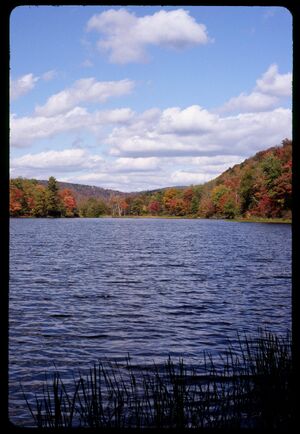 Waneta lake, New York