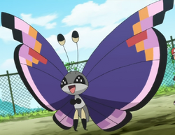 ElegantVivillon1