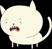 Finn gato.