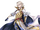 Corrin (H - resplendissant)