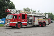 Ladder 15
