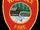Walpole Fire Department (Massachusetts)