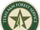 Texas A&M Forest Service