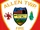 Allen Township Volunteer Fire Company (Pennsylvania)