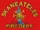 Skaneateles Fire Department