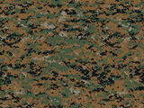 MARPAT