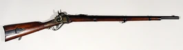 Sharps Rifle