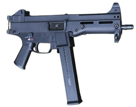 Gs 10