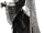 Eir