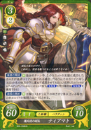 Titania as a Paladin in Fire Emblem 0 (Cipher).