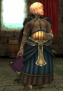 Henry, a male Sorcerer in Awakening.