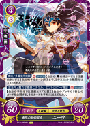 Niamh as a Chaos Sage in Fire Emblem 0 (Cipher).