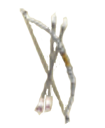 Steel Bow (TS Artwork).png (22 KB) Artwork of the Steel Bow from TearRing Saga: Utna Heroes Saga.