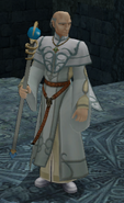 Hetzel's battle model as a Saint in Radiant Dawn.