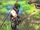 Alm's Blade (FE13).png