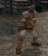 An enemy Fighter wielding the Bronze Axe in Radiant Dawn.