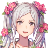 Portrait Robin Tactful Deliverer Heroes