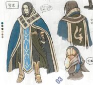 Concept artwork of the male variant of the Sage class from Awakening.