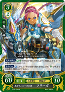 Fiona as a Lance Paladin in Fire Emblem 0 (Cipher).